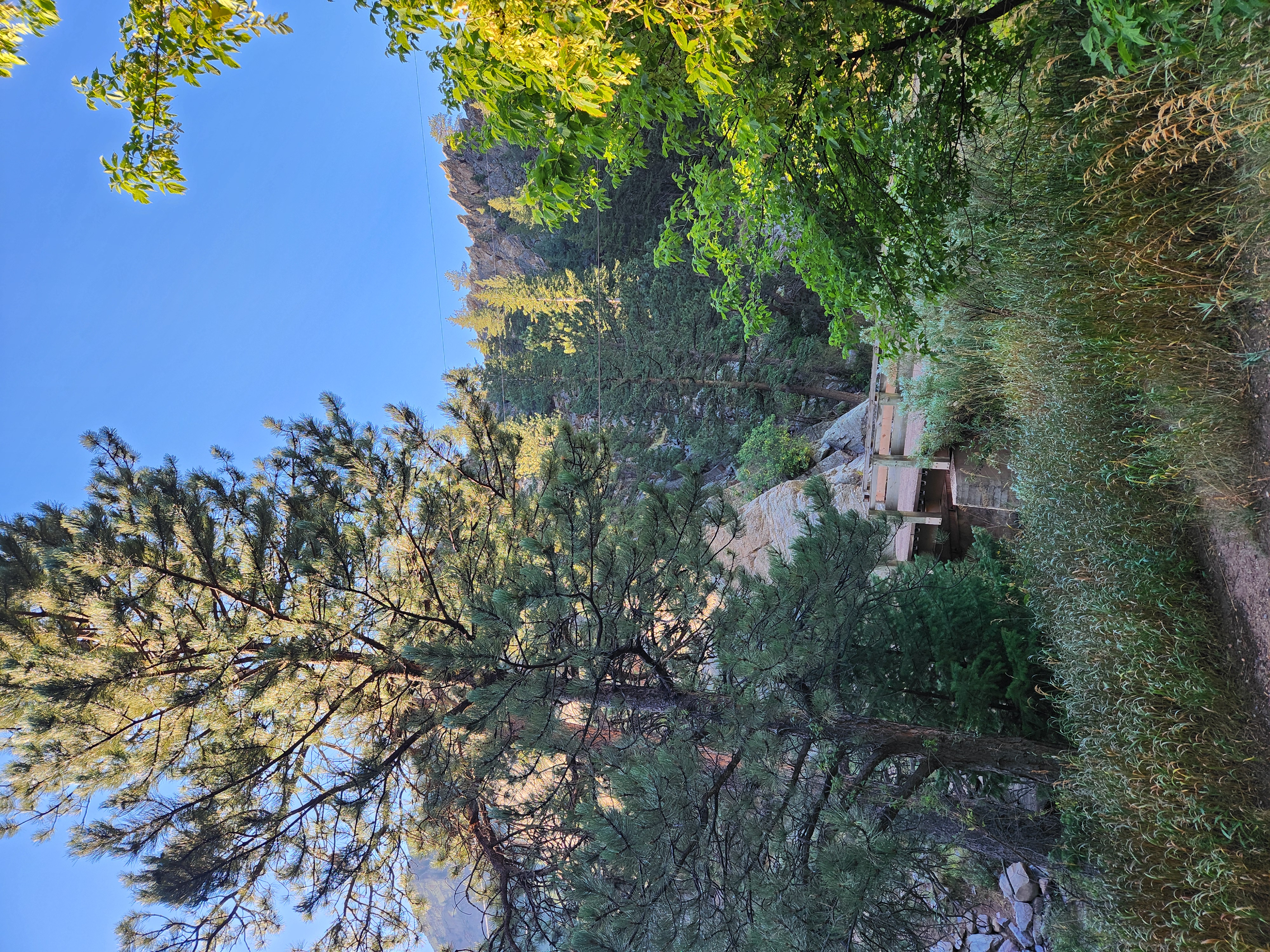 20250818_081115